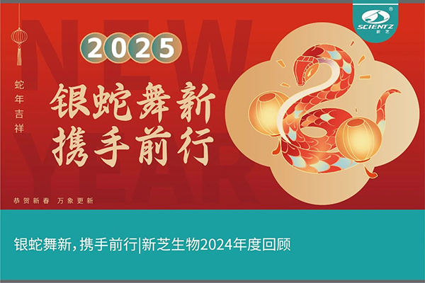 银蛇舞新，携手前行，华人策略社区生物2024年度回顾