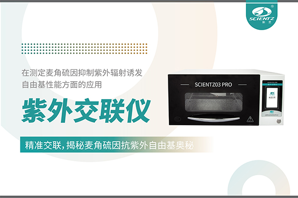 紫外交联仪在麦角硫因研究中的创新应用