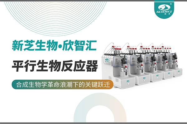 培养菌株和评估工艺参数影响太难太慢？平行生物反应器提供关键解决方案！