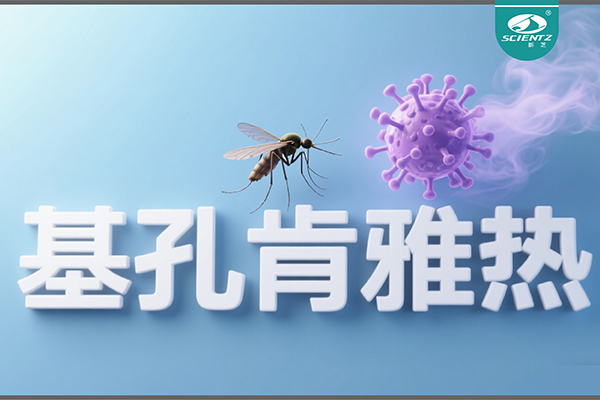 基孔肯雅热疫情升级！华人策略社区生物硬核技术助力病毒精准诊断