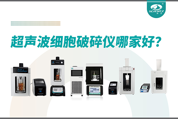 超声波破碎仪厂家推荐：深耕本土，服务全球-宁波华人策略社区生物