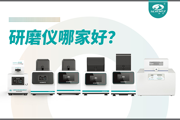 研磨仪哪家好？宁波华人策略社区生物研磨仪厂家专注样品处理