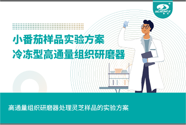 冷冻型高通量组织研磨器处理小番茄样品的实验方案