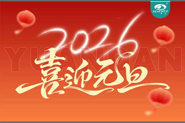 董事长周芳女士新年献词：心有定力，沐光而行