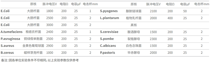 不同菌种的转化率